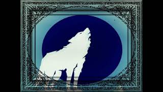 Wolf Silver Moon Oil Sapien Medicine