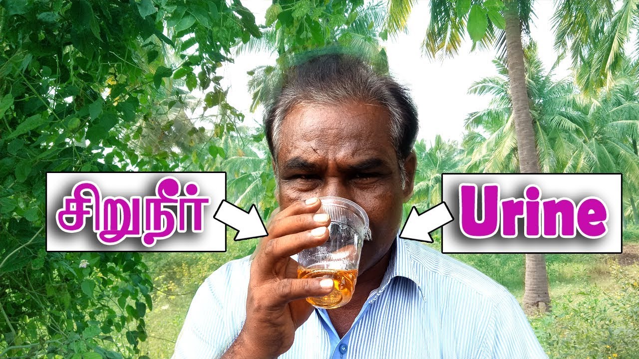 சிறுநீர் குடிப்பதால் ஏற்படும் நன்மைகள் / Benefits of drinking Urine