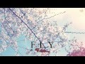 Mattia Cupelli &amp; Rachel Hardy- Fly (Sub espa&ntilde;ol)