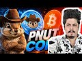 Pnut
