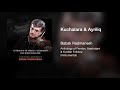 Babak Radmanesh Kuchalara Ayriliq کوچلره و آریلیخ 