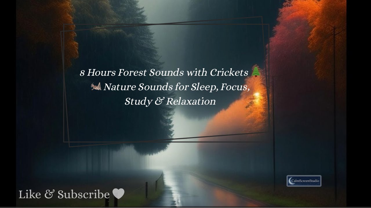 8 Hours Forest Sounds with Crickets 🌲🦗 Nature Sounds for Sleep, Focus, Study & Relaxation