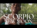 Ready for a Deeper Reset? This Scorpio New Moon Supports Emotional Transformation