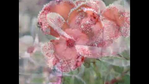 آيات من سورة الروم بصوت مميز