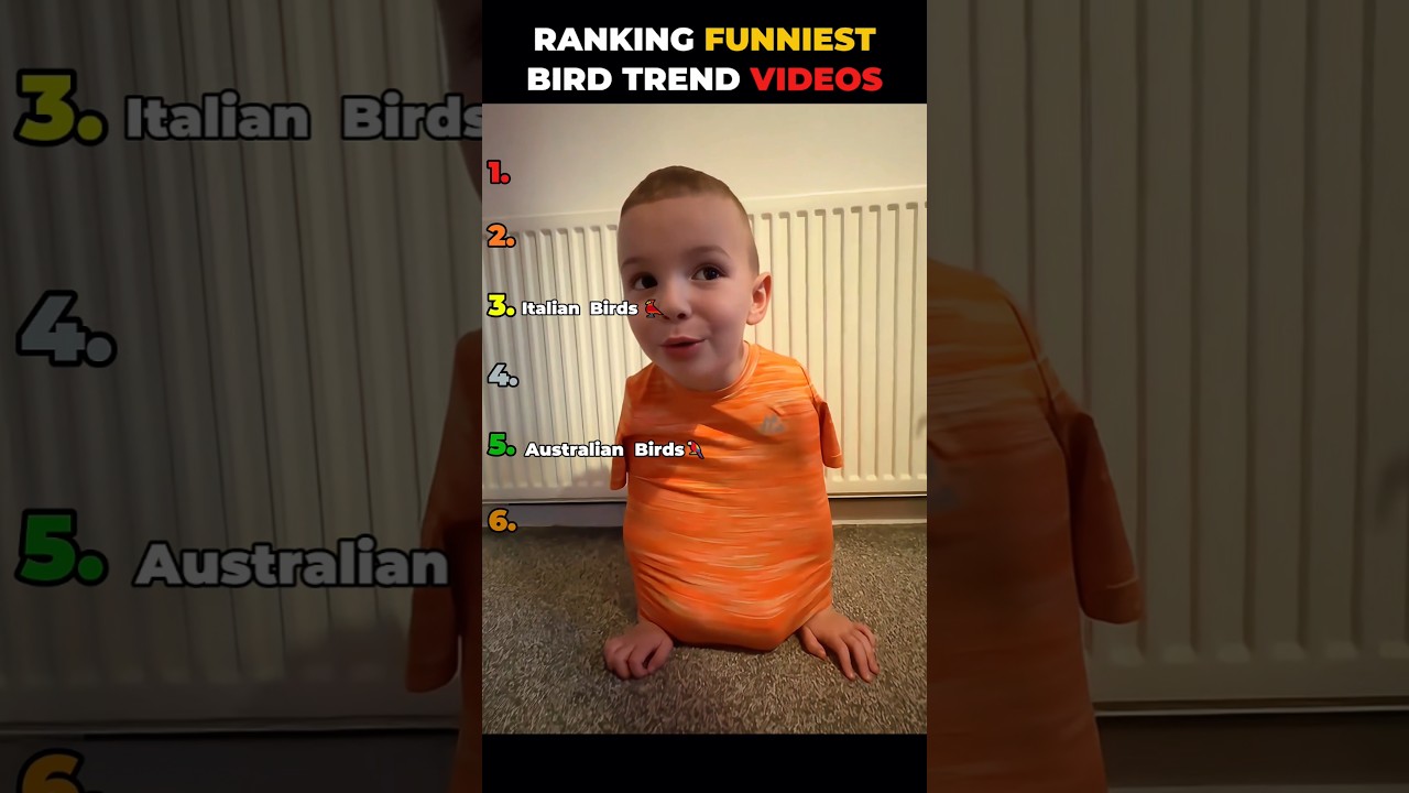 Ranking Best Bird Trend Videos 
