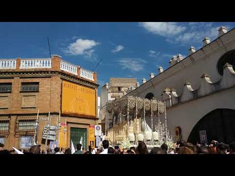Real y Fervorosa Hermandad Sacramental del Señor San Sebastián y Nuestra Señora del Prado y Cofradía de Nazarenos de Nuestro Padre Jesús de la Victoria y María Santísima de la Paz