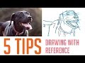 5 Tips on How I Draw From Reference (For Beginners)