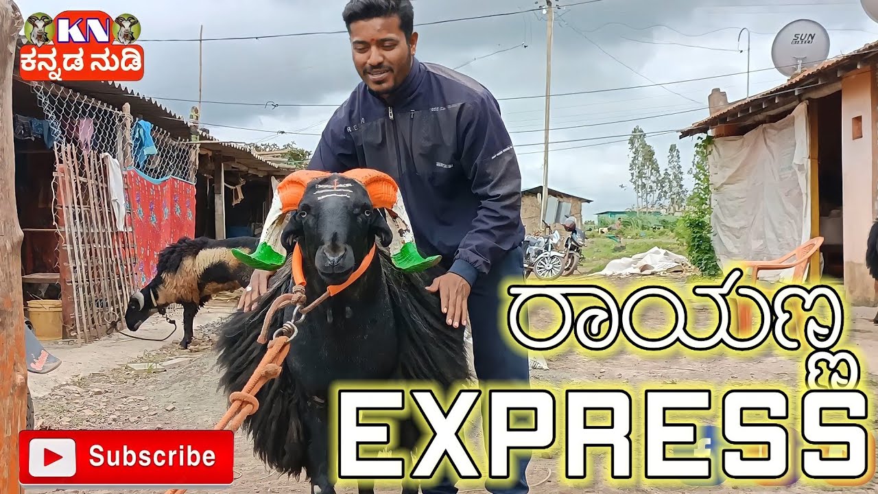 ರಾಯಣ್ಣ express ಯಾರು ಯಾರಿಗೆ ದುಷ್ಮನ್ ಆಗಬ್ಯಾಡ್ರಿ ( Rayanna express Pamaladinni )