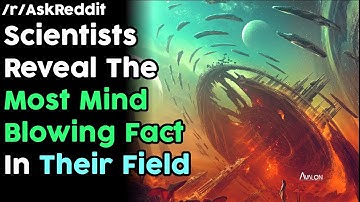 Scientists reveal the most mind blowing facts in their field r/AskReddit | Reddit Jar