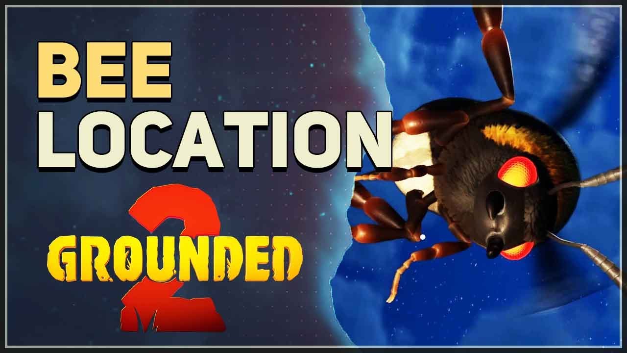 Bee Location Grounded 2 - YouTube