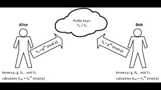 Diffie Hellman Key Exchange for Two and Three Parties