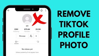 How To Remove Your Tiktok Profile Picture - Full Tutorial