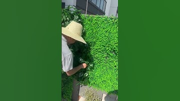 Thi công tường cây xanh giả đẹp mắt #news  #home #plants #garden #caygia #atzdecor #tuongcaygia