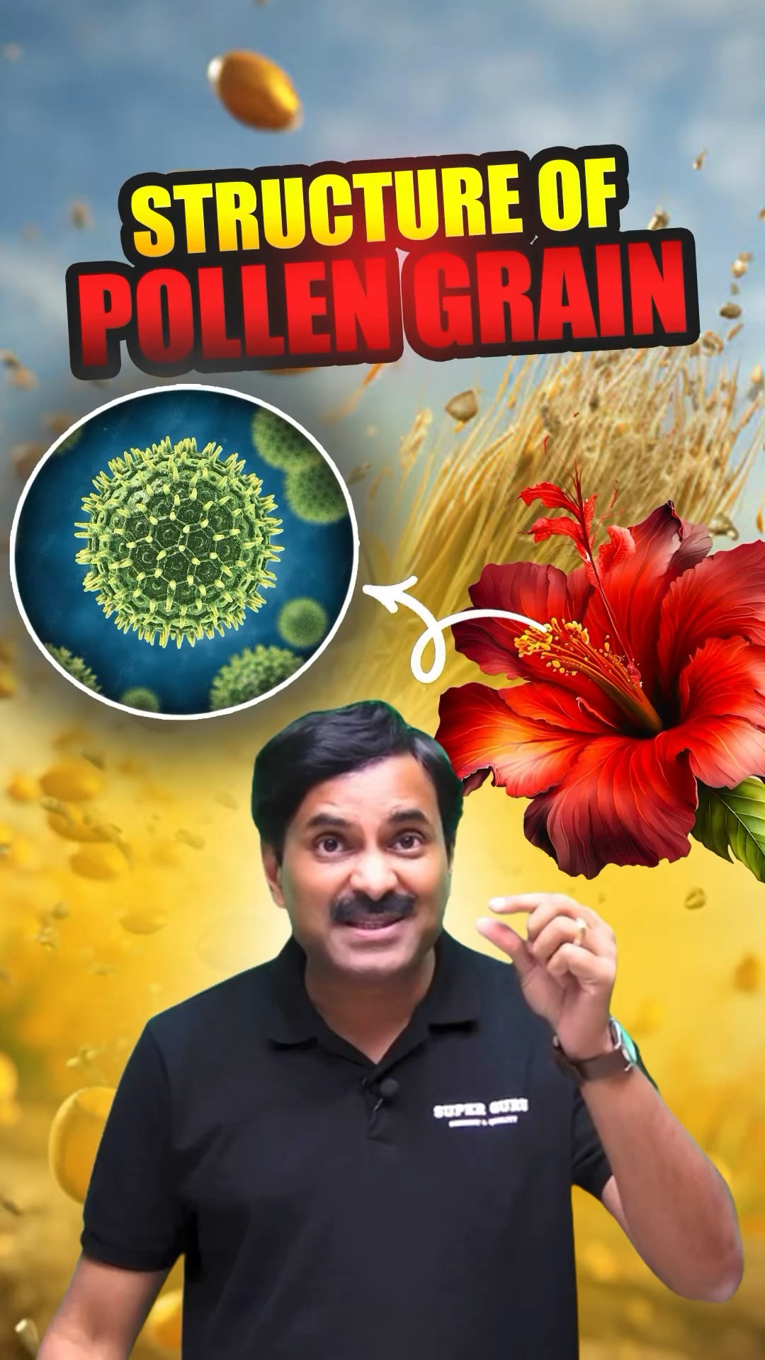 Structure Of Pollen Grain In 1 Minute neet biology biologyforneet Structure Of Pollen Grain In 1 Minute neet biology biologyforneet