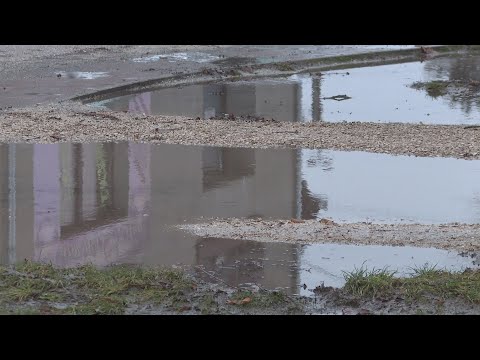 Videó: Mi történik a tócsákkal eső után?