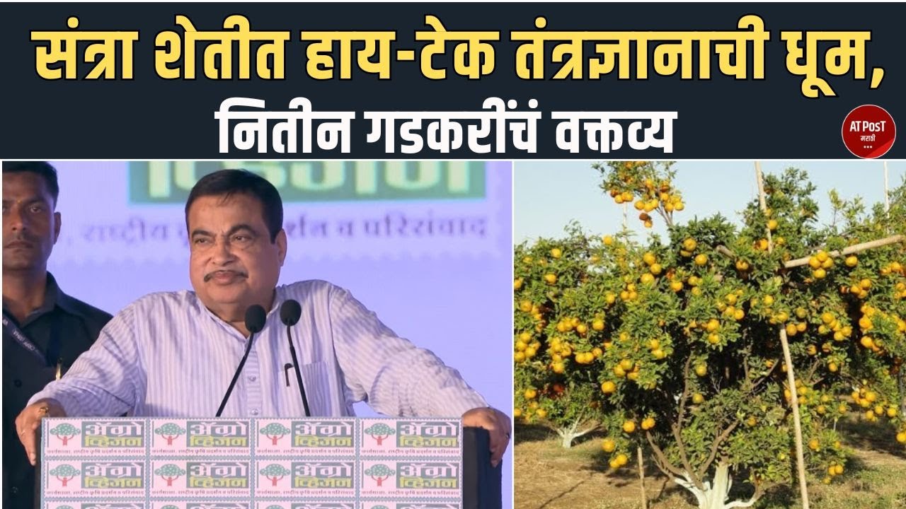 संत्रा शेतीत हाय-टेक तंत्रज्ञानाची धूम,   नितीन गडकरींचं वक्तव्य