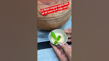 20 सितंबर श्राद्ध पक्ष चतुर्दशी तिथि को करें ये चावल का अचूक उपाय#mhadev #pradeepmishraji#ytshorts