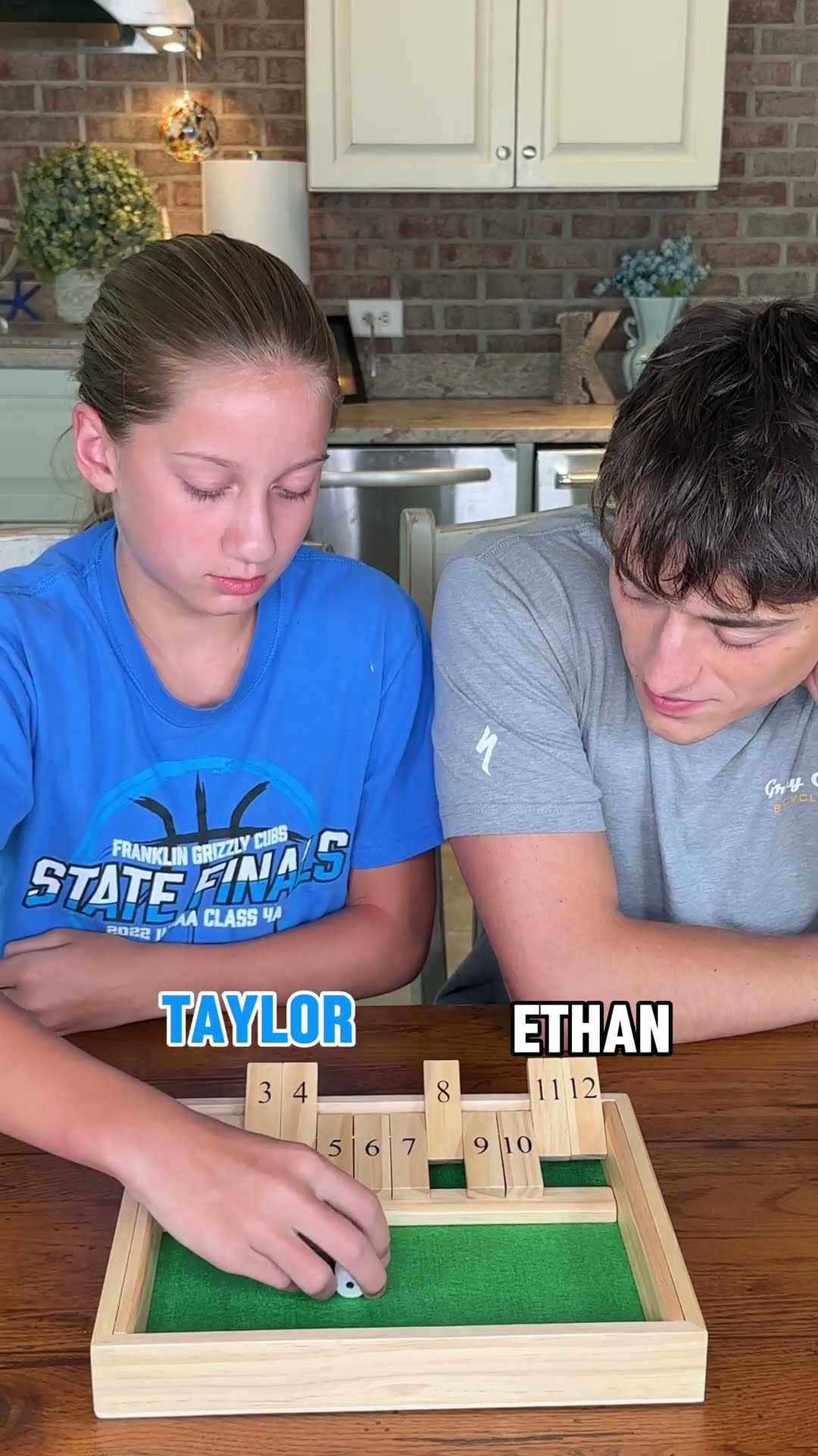 Brother vs. sister challenge!! #shutthebox #dicegames #familyfun