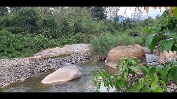 ( Ngưng ) Bán 2.000m2 đất có 14m mặt tiền quốc lộ 20, đất giáp suối Đạ Hoai rất đẹp, giá 2,6 tỉ.