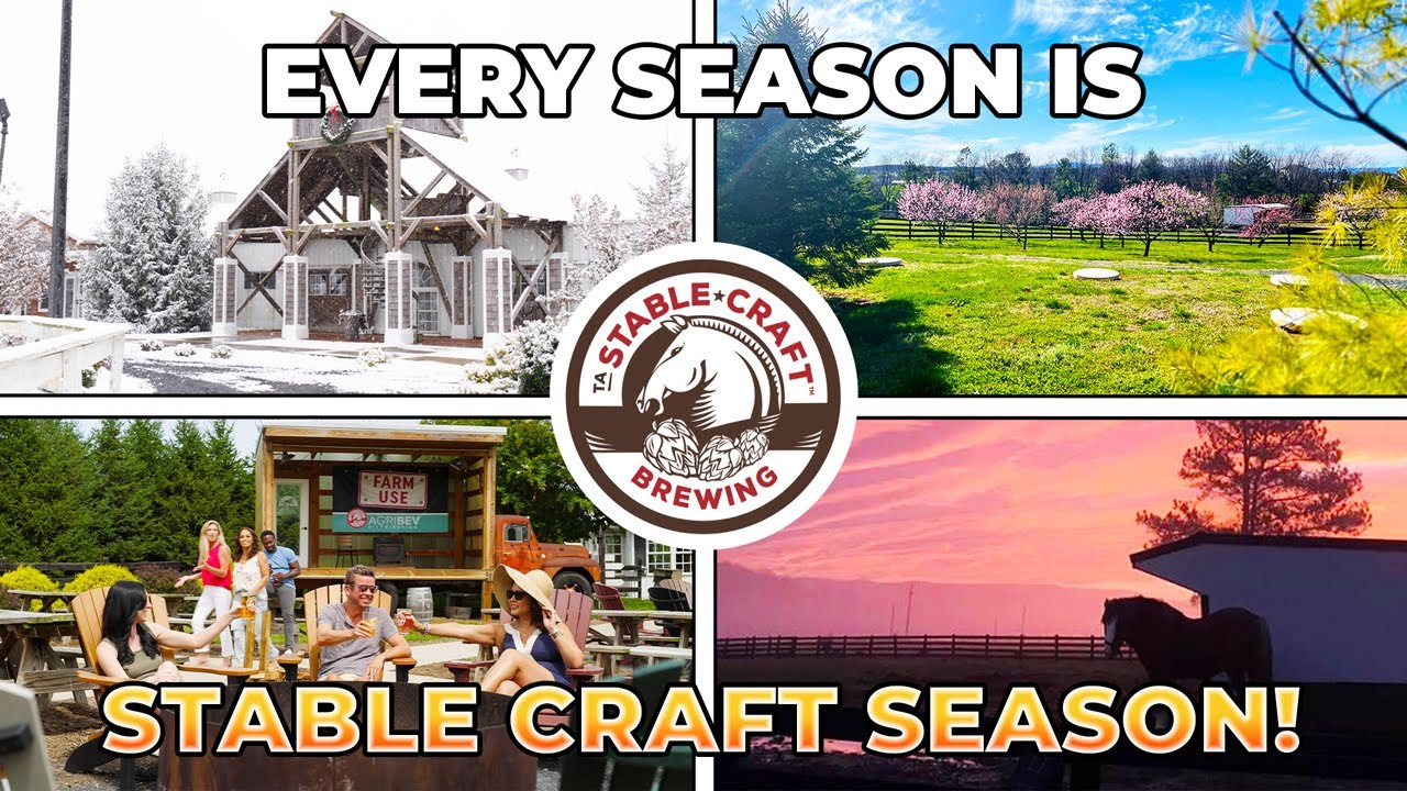 Every Season Is Stable Craft Season! | Best Breweries In Virginia