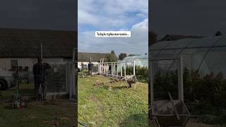www.naturianki.pl #szklarnia #eko #ogród #wiosna