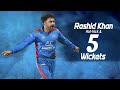 Rashid Khan Top Wickets Top 5 Wicked By Rashid Khan Cricket T20worldcup 