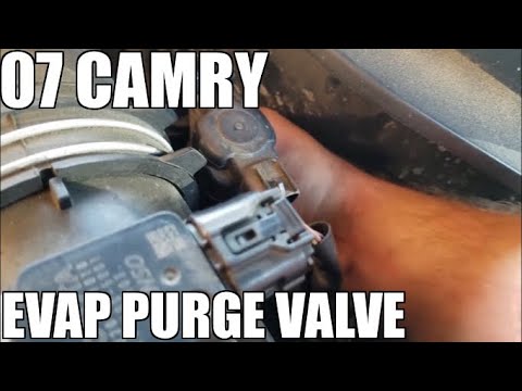 How to Replace Evap Purge Valve 2007 Toyota Camry