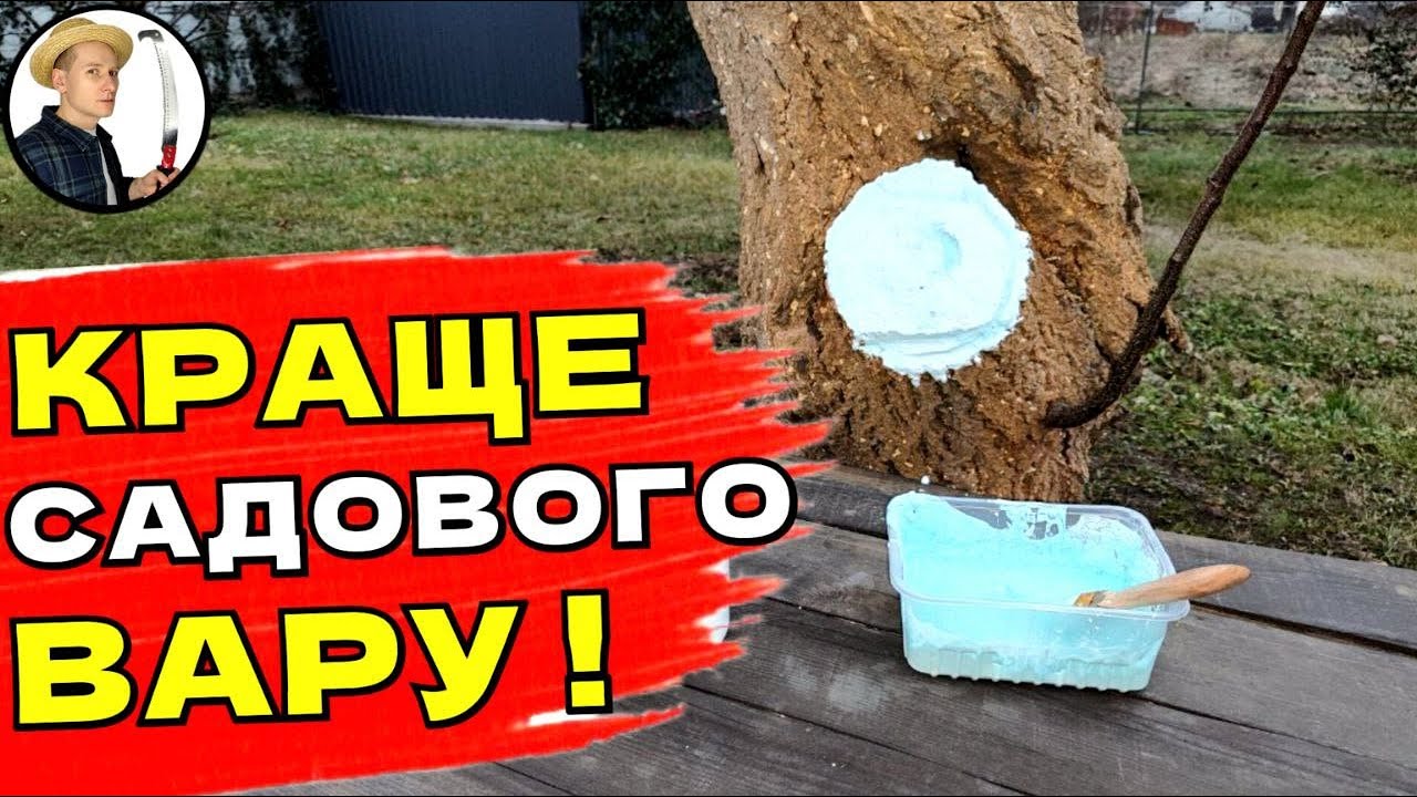 ЦЕ КРАЩЕ САДОВОГО ВАРА Чим Обробити Зрізи Після Обрізки Сада