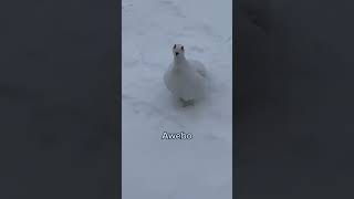 Memes Part 257 memes like