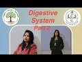 Digestive System Part 2