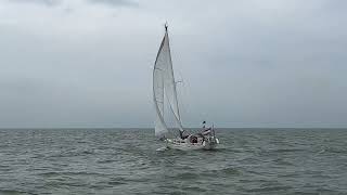 Nicholson 35 Marianne op het Markermeer