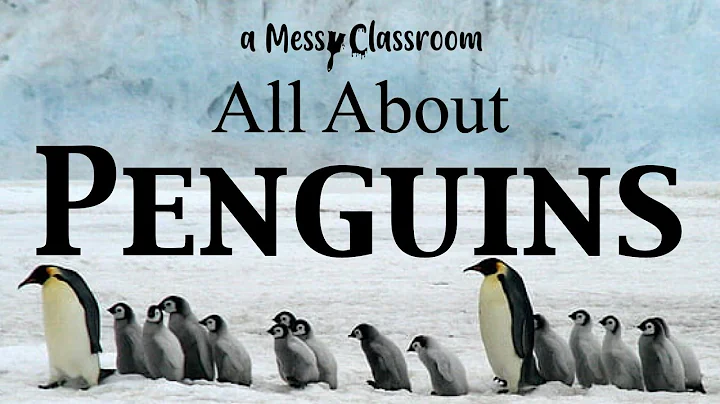 All About Penguins| Understanding These Arctic Birds| Where Do They Live? How Do They Survive?