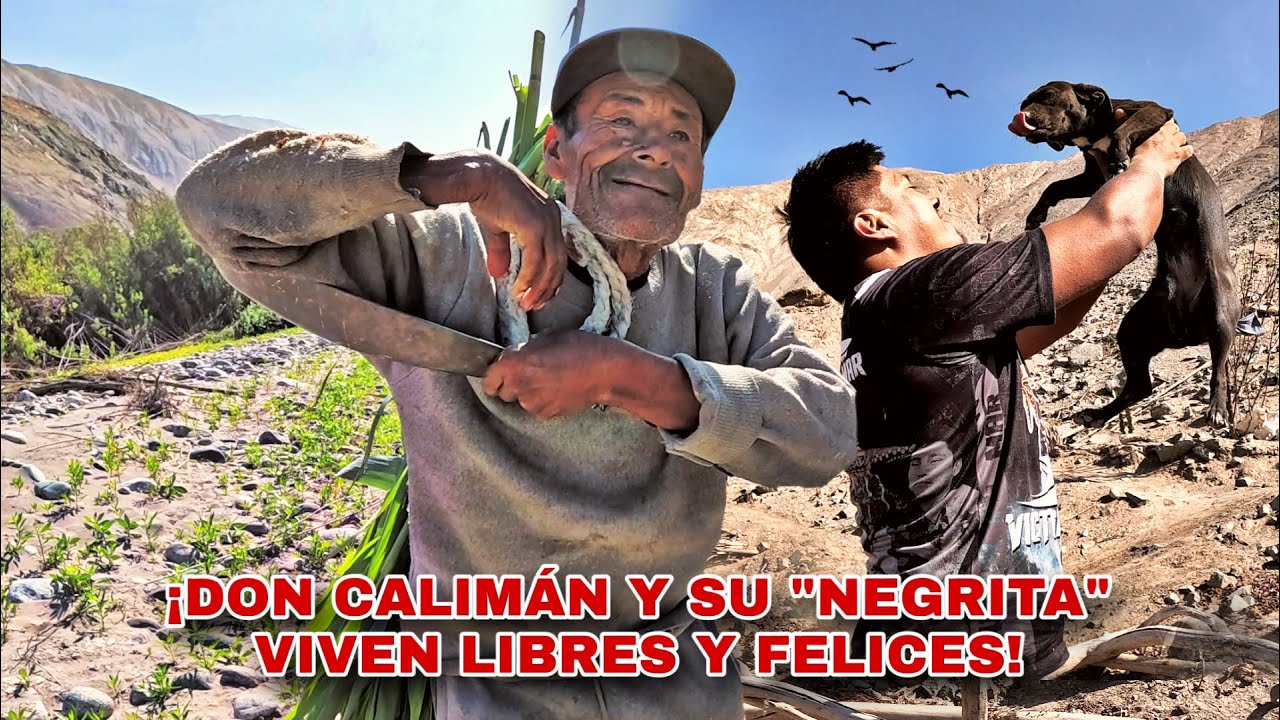 Don CALIMÁN y Yo Hicimos una PROMESA IMPORTANTE y Así lo celebramos - VIVE SOLO EN LOS MONTES