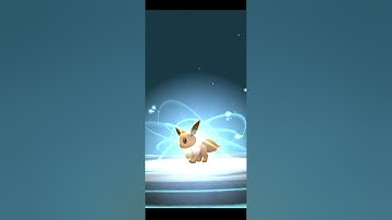 Hundo Eevee Evolve