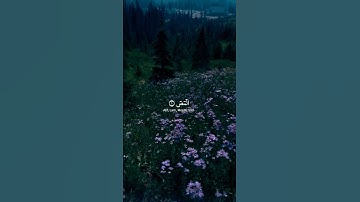 سورة الأعراف // ياسر الدوسري #quran #قرآن #allah