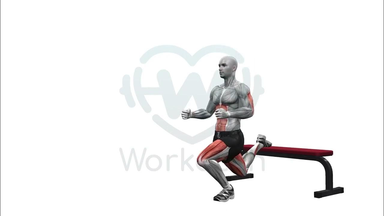 Bench Bulgarian Split Squats Left YouTube