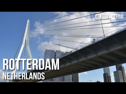 Бейне: Erasmus Bridge (Erasmusbrug) сипаттамасы мен суреттері - Нидерланды: Роттердам