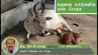 கறவை மாடுகளில் பால் பெருக