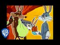 Looney Tunes | Wile E. Coyote Genius vs. Bugs Bunny | Classic Cartoon Compilation | WB Kids