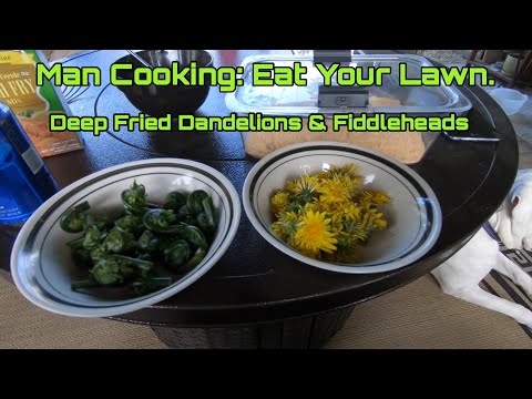 Man Cooking: Eat Your Lawn. Deep Fried Dandelion & Fiddlehead.