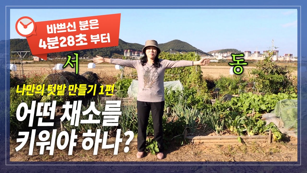 직접 키워서 먹는 나만의 텃밭 만들기. 베란다텃밭, 주말농장