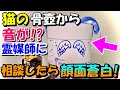 猫が死んでしまい骨壷を家に置いていると、骨壷から音が聞こえてきた。霊媒師に相談すると猫が伝えたいことがあると言う。その内容に衝撃【猫の不思議な話】【朗読】