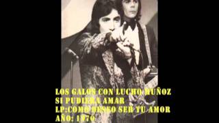 Los Galos - Si pudiera amar - 1970 Con Lucho Muñoz chords