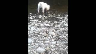 20120315_190047.mp4