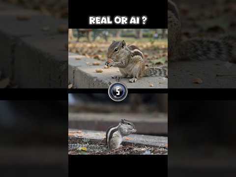 Real or AI?​