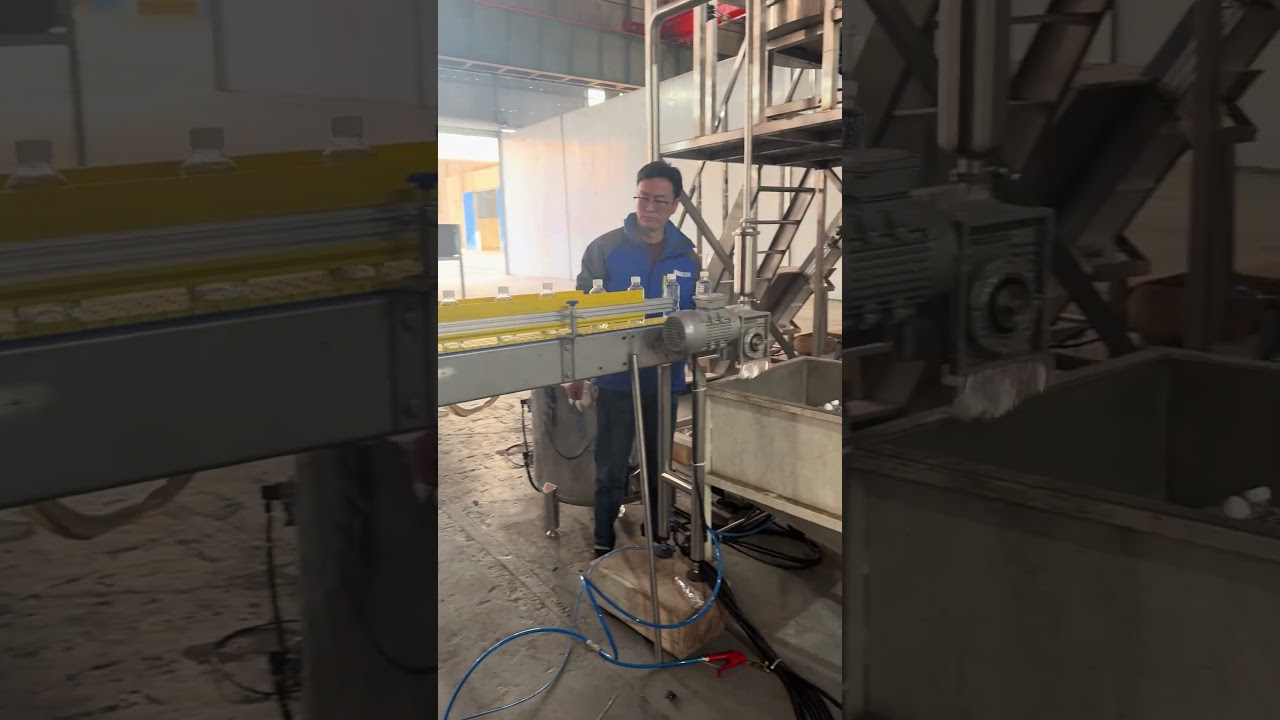 Rotary pure water bottle filling machine