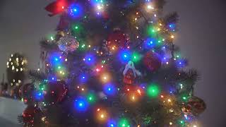 Sony A7sii • Moment Cinebloom 20% test: Christmas Tree screenshot 3