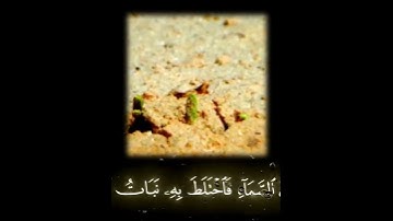 صباح الخير اجمل حالات واتس اب مقاطع انستجرام اسلاميه قصيره قرآن كريم سورة الكهف بصوت جميل بدون حقوق