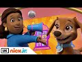 Pups Save The Pup Pup Boogie Contest рџ єв ђпёЏ PAW Patrol Nick Jr UK Pups Save The Pup Pup Boogie Contest рџ єв ђпёЏ PAW Patrol Nick Jr UK