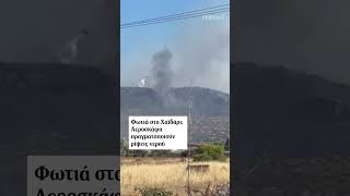 Φωτιά στο Χαϊδάρι: Aεροσκάφη πραγματοποιούν ρίψεις νερού| NEWS 24/7